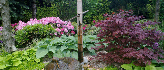 PLANTE szk�ka drzew krzew�w ozdobnych Pi�tkowski