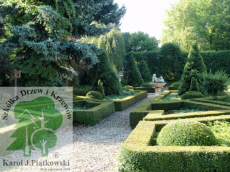 PLANTE szk�ka drzew krzew�w ozdobnych Pi�tkowski